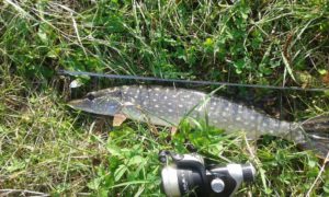 20141006_112249-Kopiowanie