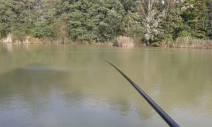 20141007_101139-Kopiowanie