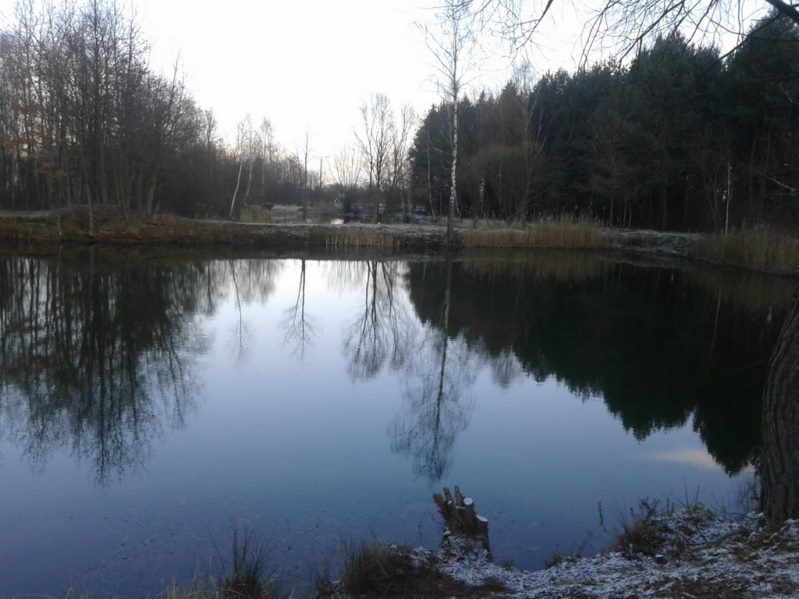 Święta, 2014 łowienie , bat, karp