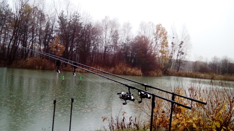 Listopad, nocka, prologic c1, robinson, free runner