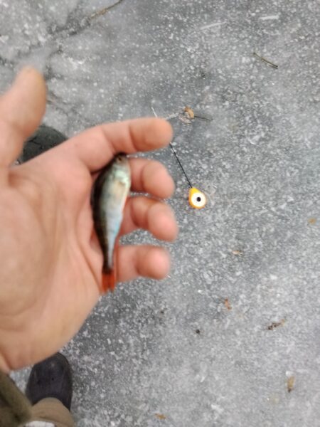 luty napowetranie 15