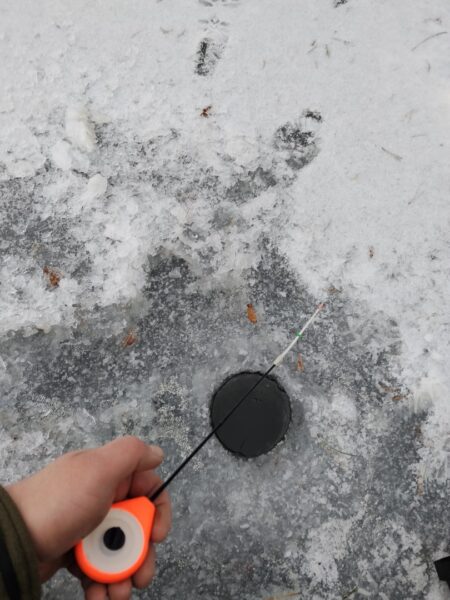 styczen podlodowe ryby 3