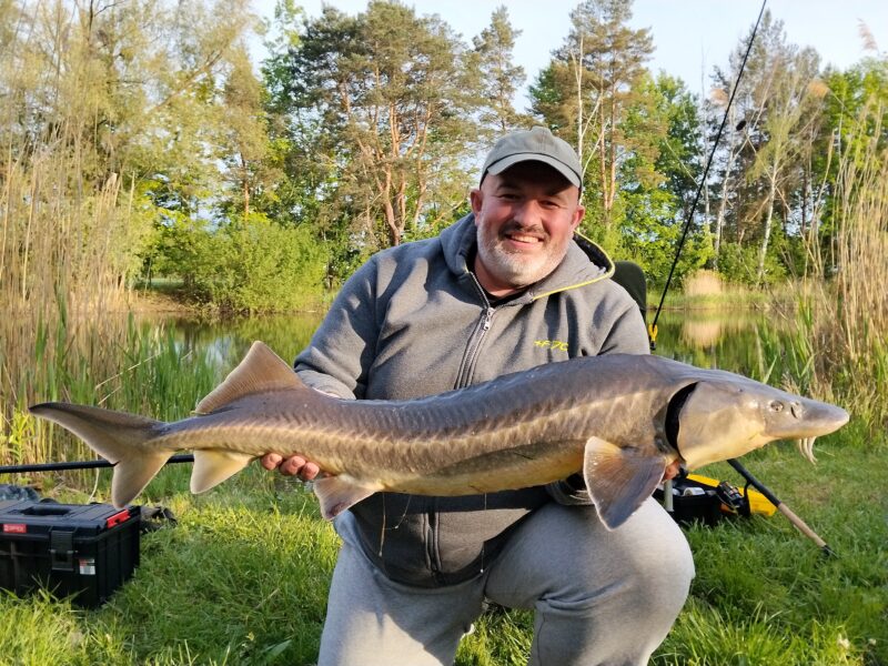 Majowa metoda i król łowiska – epicki hol wielkiego jesiotra na method feeder. 6 jesiotr maj metoda 3 scaled
