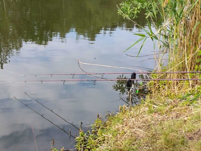 Ryby to nie tylko hobby – to lek na zbolałą duszę. 13 maj karp 11