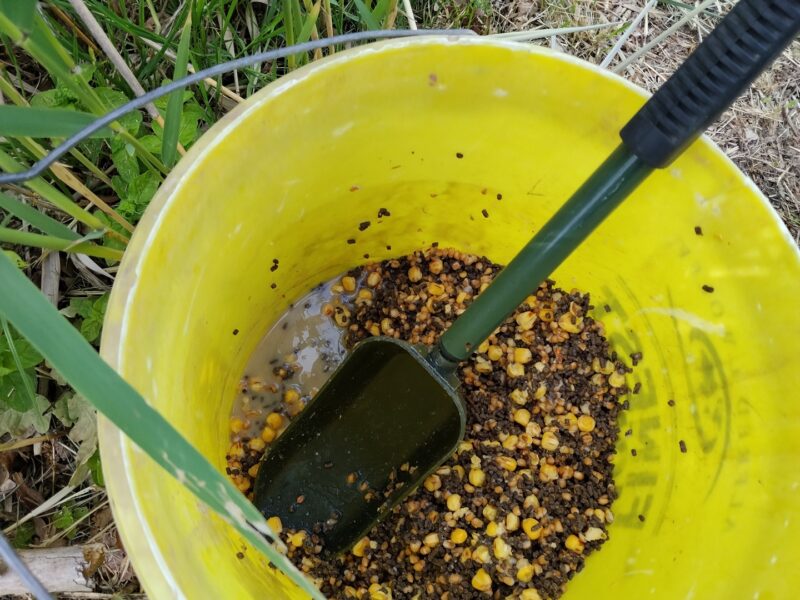 Ryby to nie tylko hobby – to lek na zbolałą duszę. 11 maj karp 3