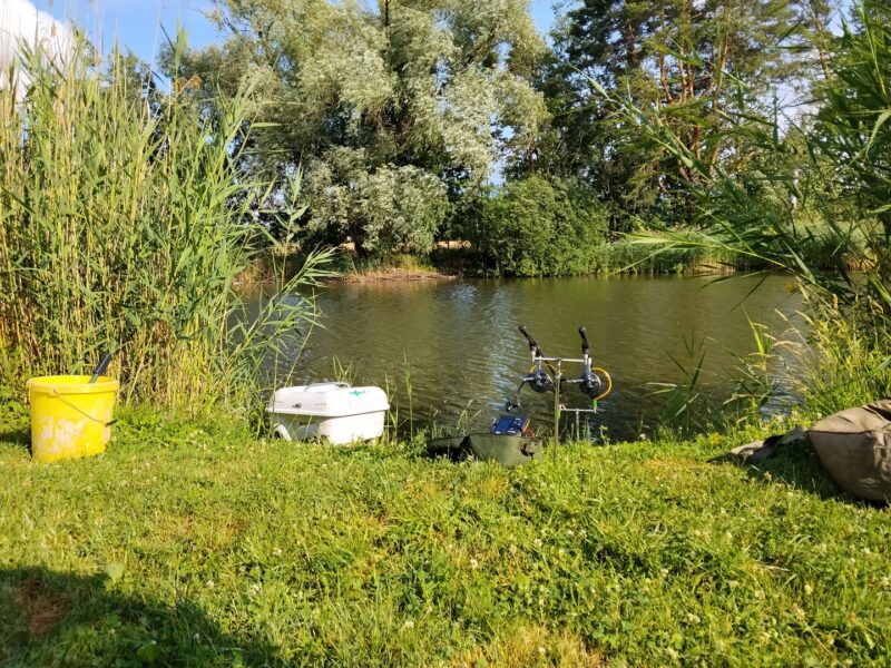 Lepiej jechać na chwilę nad wodę – niż nie jechać tam wcale. 2 karp lipiec urlop 1
