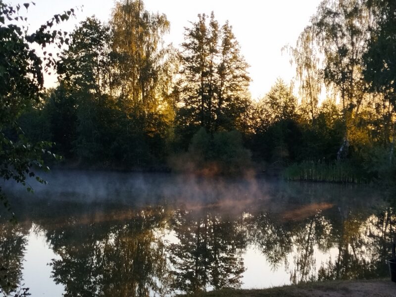 Zjedzony przez amury – trzy godziny lepsze jak tydzień nad wodą. 1 zasiadka amur sierpien klimat 4